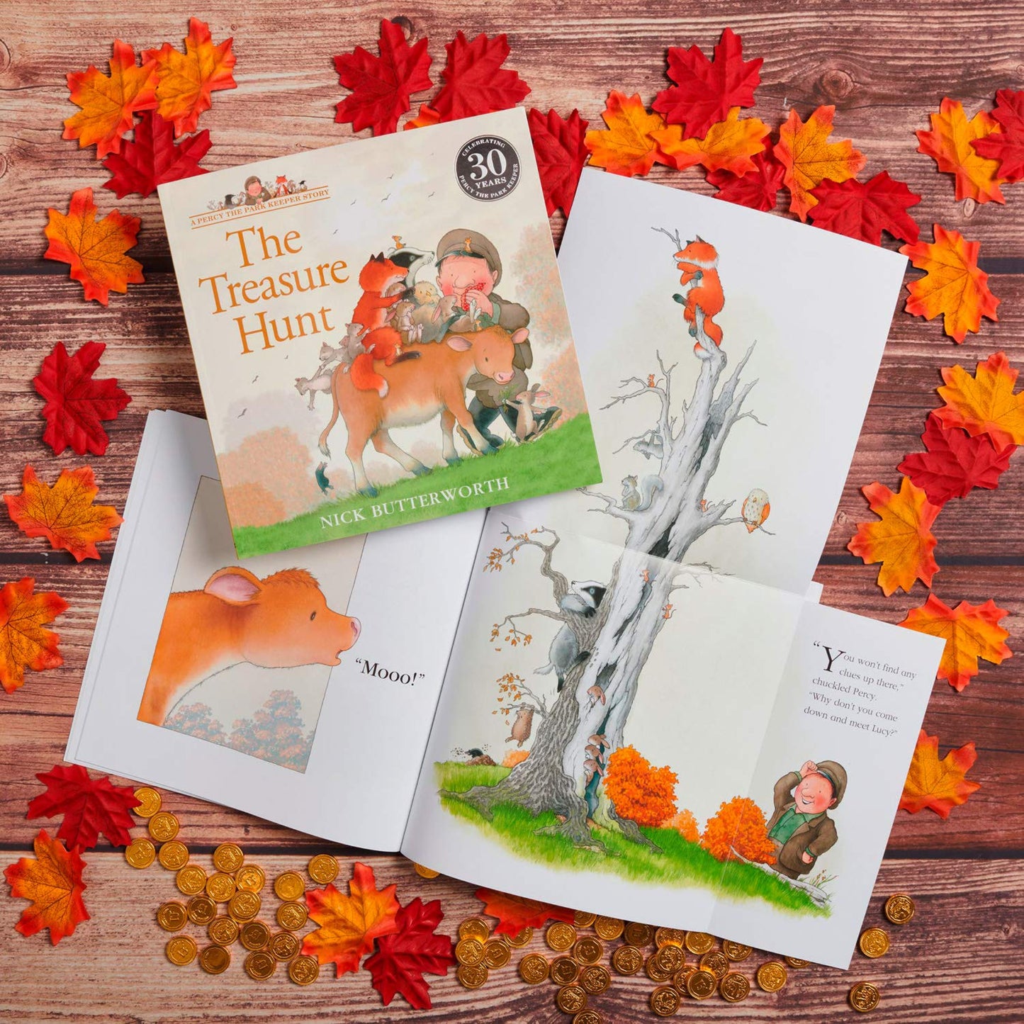 The Treasure Hunt (Percy the Park Keeper)
