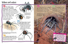 Load image into Gallery viewer, 100 Facts : Spiders Projects - Quizzes - Fun Facts - Cartoons