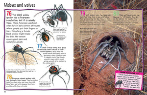 100 Facts : Spiders Projects - Quizzes - Fun Facts - Cartoons