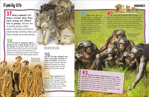 Wild About : Animals