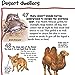 Load image into Gallery viewer, 100 Facts : Mammals Projects - Quizzes - Fun Facts - Cartoons