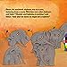 Elmer and the Rainbow