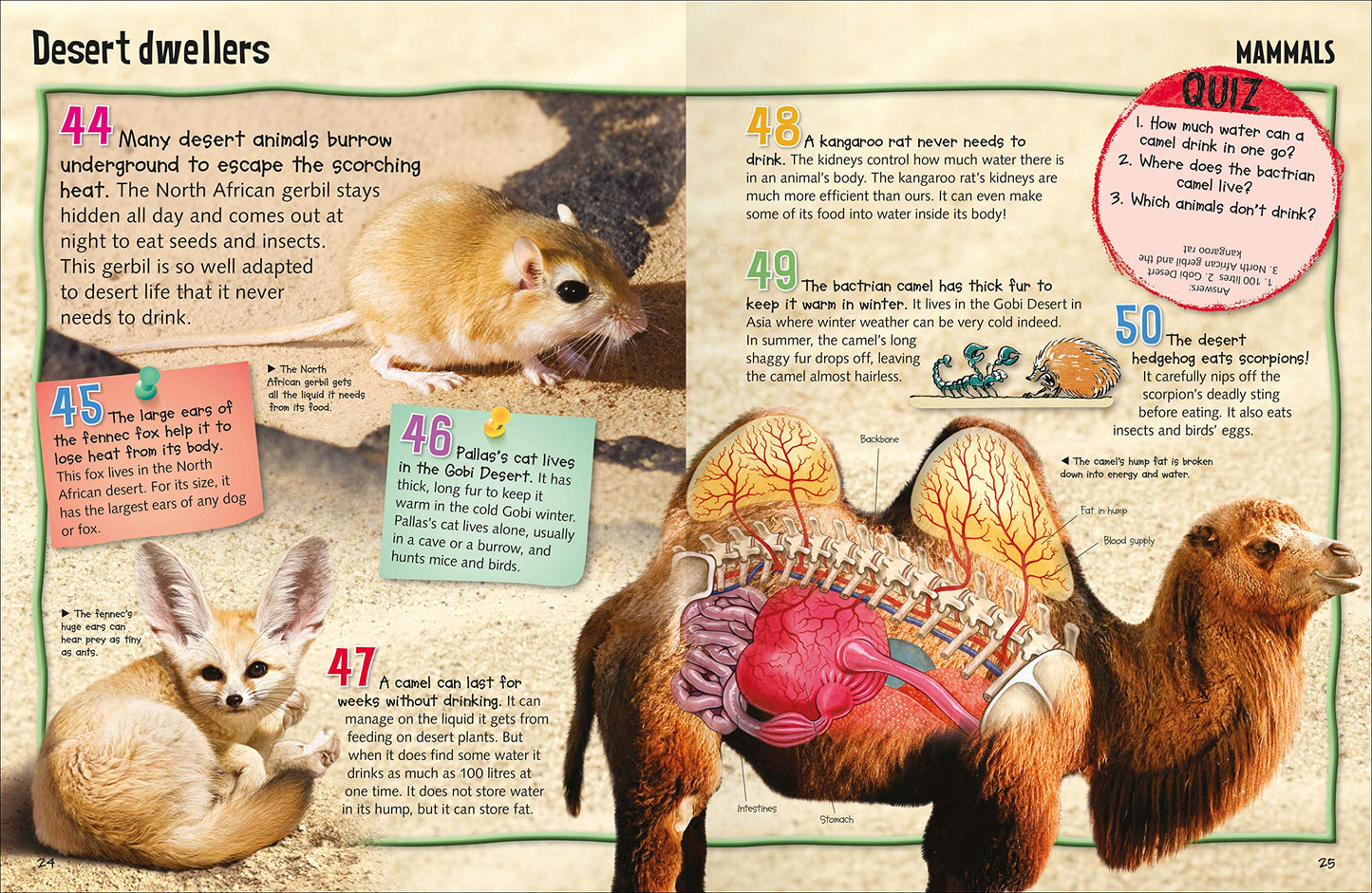 Wild About : Animals