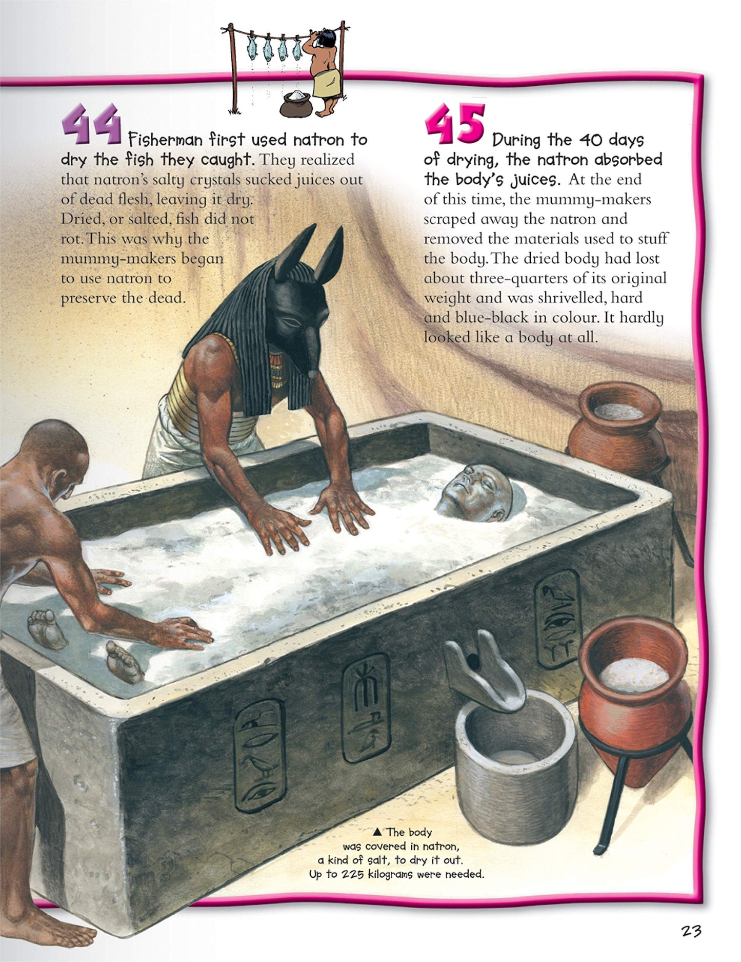 100 Facts : Mummies Projects, Quizzes, Fun Facts, Cartoons