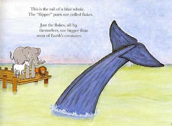 Wonderwise: Is a Blue Whale the Biggest Thing There is?