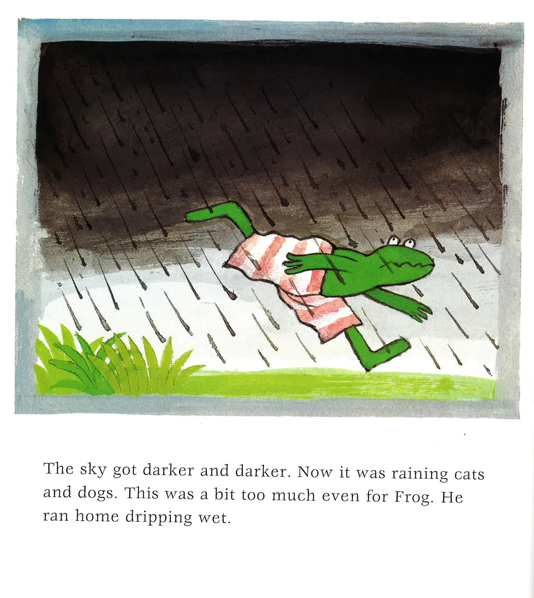 Frog Is A Hero