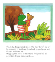 Load image into Gallery viewer, Frog Finds A Friend