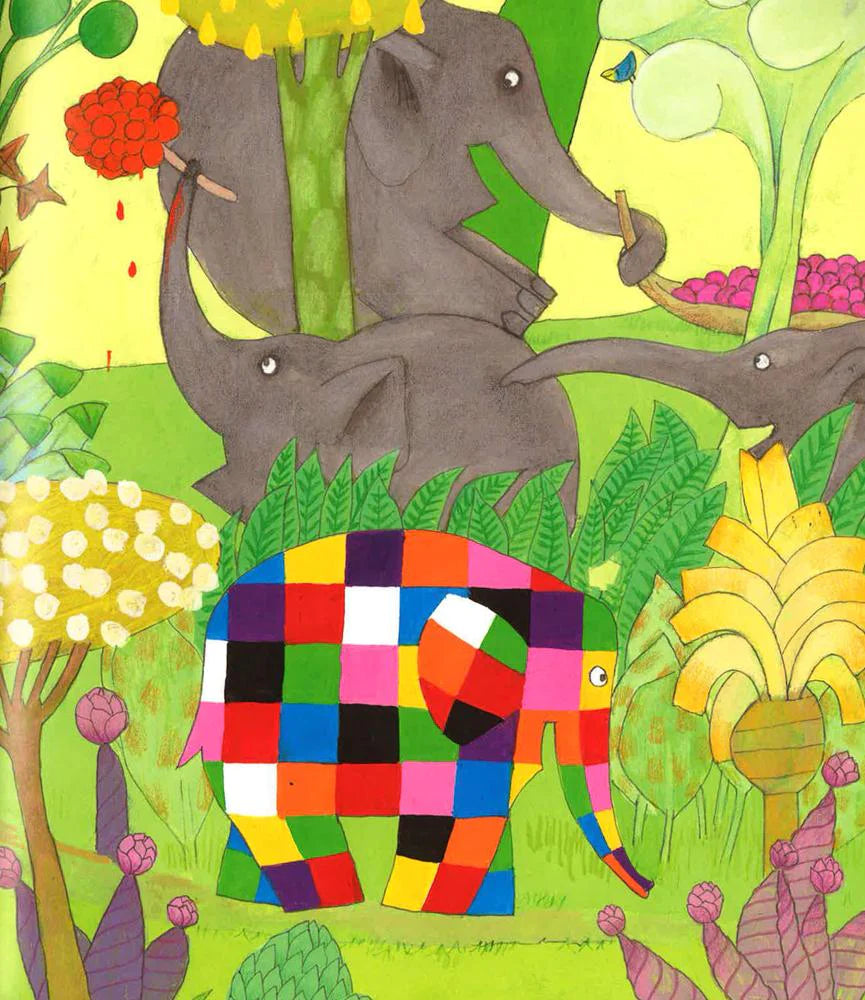 Elmer's Special Day