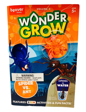 Load image into Gallery viewer, Wonder Grow: Spider VS Ant (Features STEM Activities &amp; Fun Facts!)