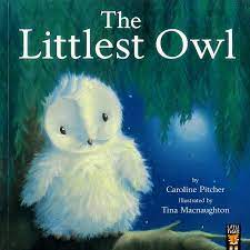 The Littlest Owl