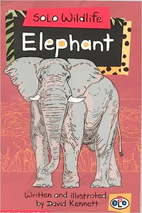 Solo Wildlife: Elephant