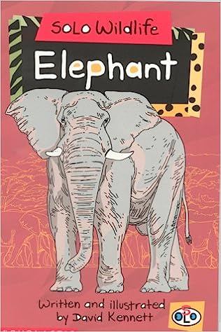 Solo Wildlife: Elephant