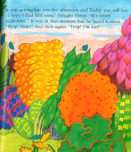 Load image into Gallery viewer, Elmer And The Lost Teddy