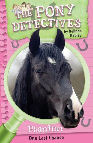 Phantom, One Last Chance (The Pony Detectives)