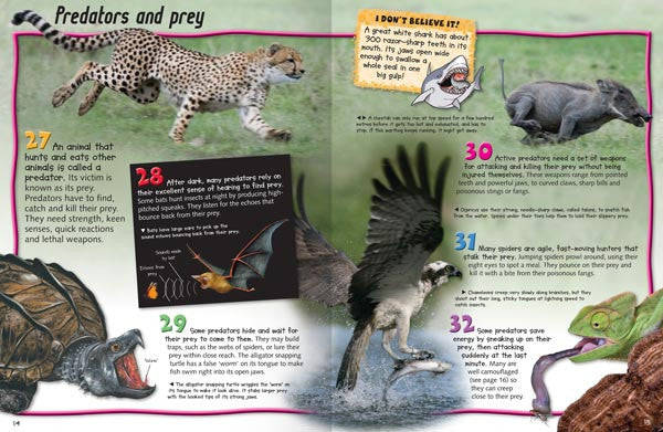 100 Facts Animal Life