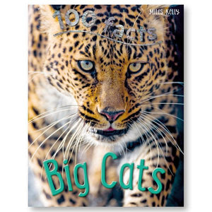 100 Facts Big Cats