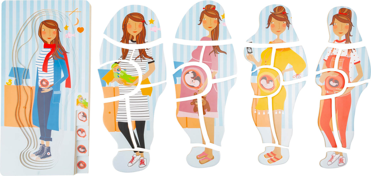Layered Pregnancy Puzzle: Teaching Activity and Tool