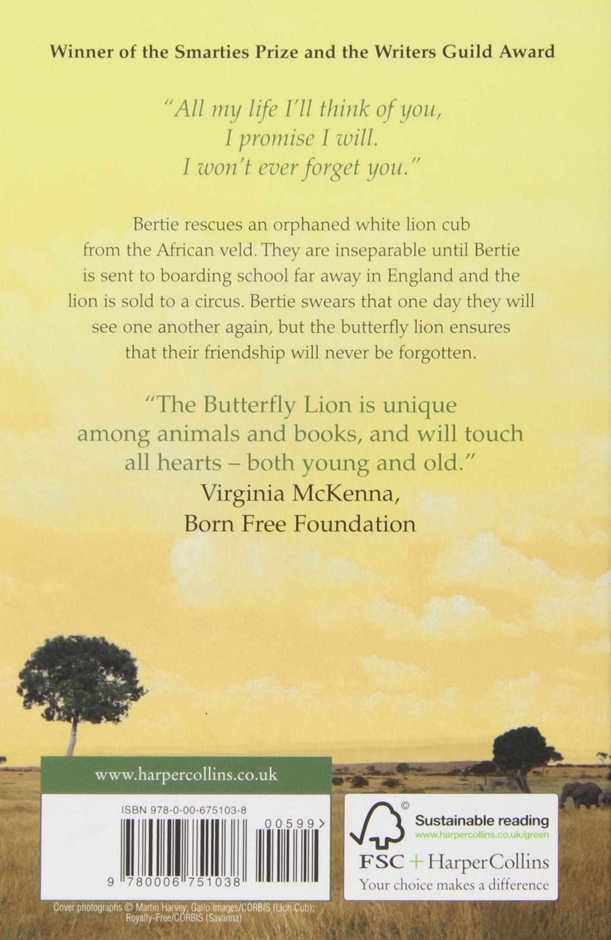 The Butterfly Lion