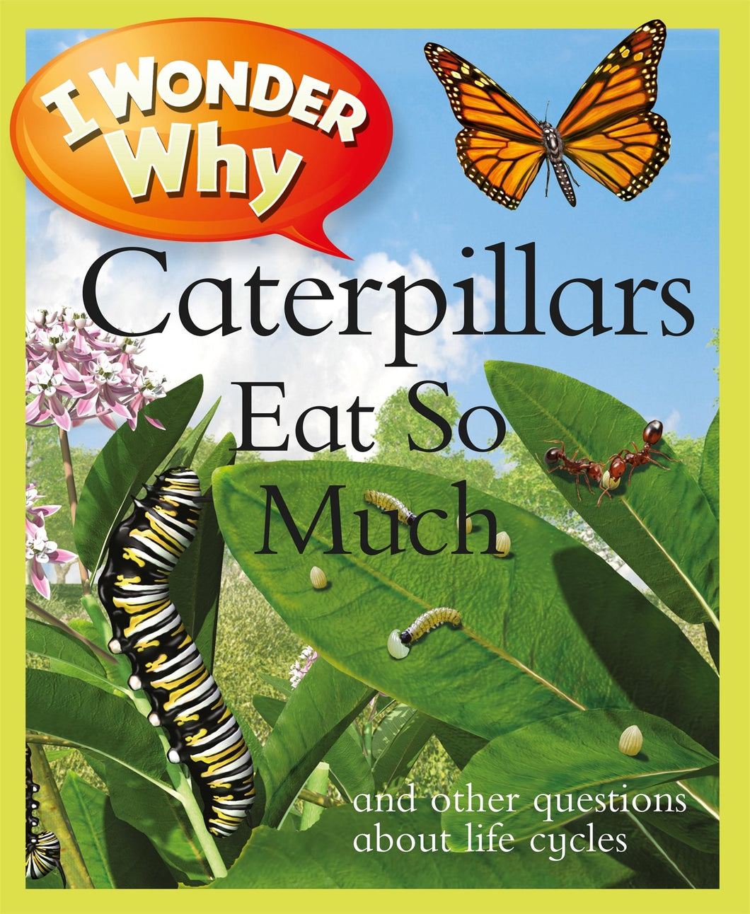 I Wonder Why: Caterpillars Eat So Much and other questions about life cycles
