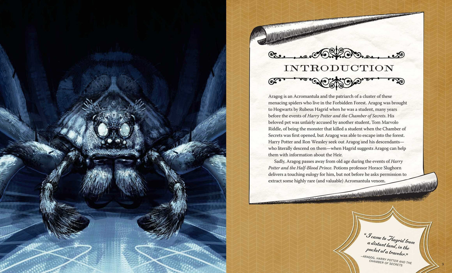 IncrediBuilds: Harry Potter: Aragog Deluxe Book and Model Set