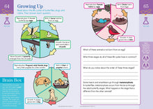 Load image into Gallery viewer, Summer Brain Quest Workbook: Between Grade 2 &amp; 3 (Ages 7-8)