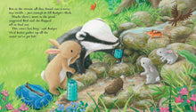 Load image into Gallery viewer, Badger and the Great Journey (Hardcover)