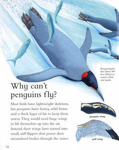 I Wonder Why: Penguins Can't Fly and other questions about polar lands