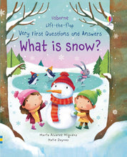 Load image into Gallery viewer, Lift the Flap: Q&amp;A What is Snow?