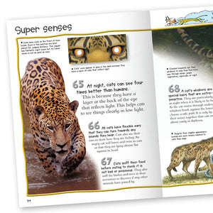 100 Facts Big Cats