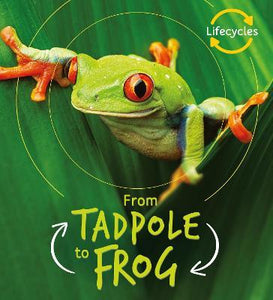 Lifecycles: From Tadpole to Frog