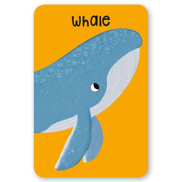 Sea Snap! (10 Card Games and Giant Puzzle)