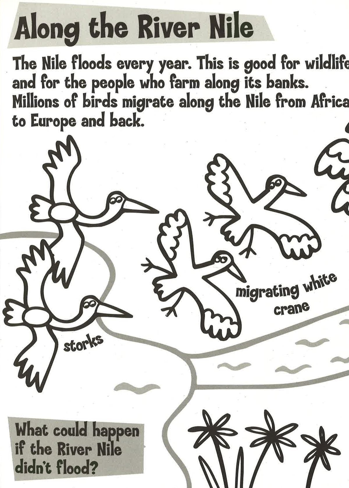 World Warriors: Who's Splashing in the Pond?