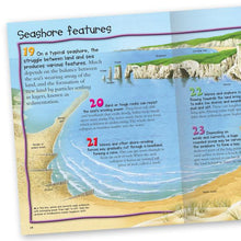 Load image into Gallery viewer, 100 Facts Seashore