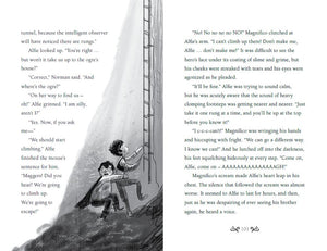 The Adventures of Alfie Onion