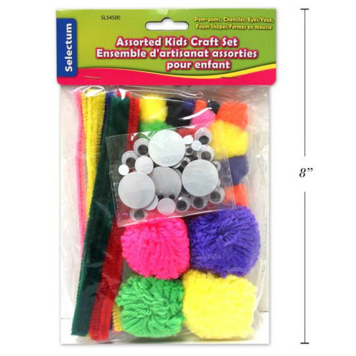Assorted Kids Craft Set: Pom-poms, pipe cleaners, googly eyes and more!