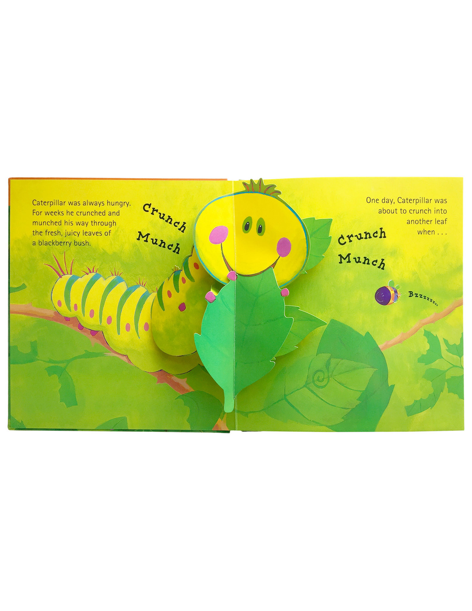 The Crunching Munching Caterpillar, Read a loud stories, Children's  stories
