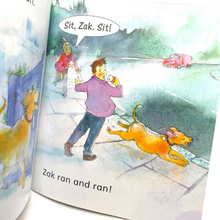 Load image into Gallery viewer, Read with Oxford: Julia Donaldson&#39;s Songbirds: Zak and the Vet (Stage 1+)