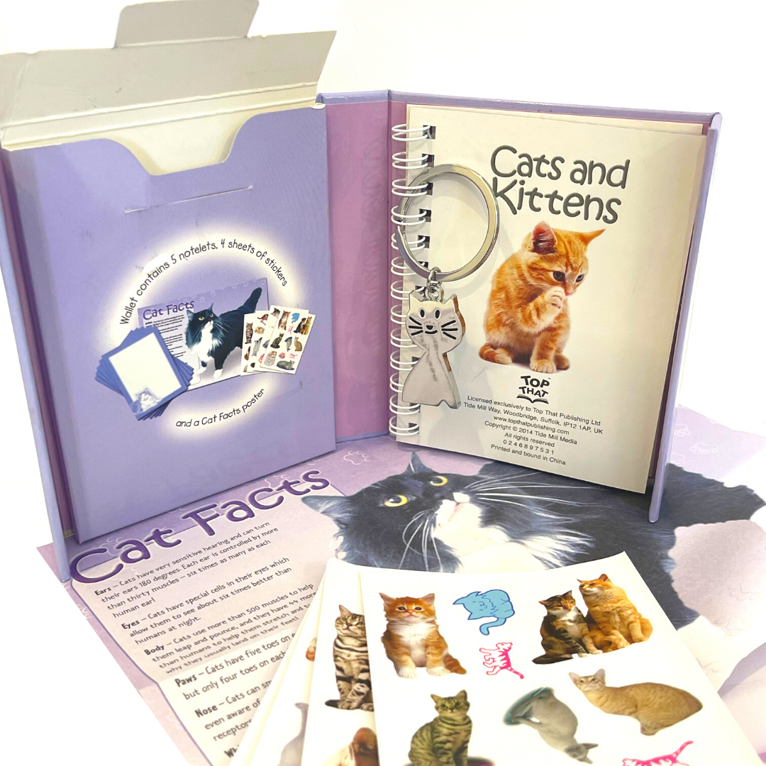Pocket Power: Cats and Kittens