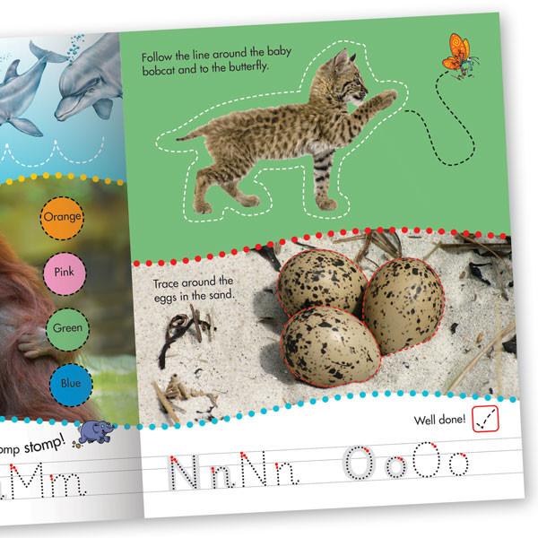 Get Set Go Writing: Animal Babies