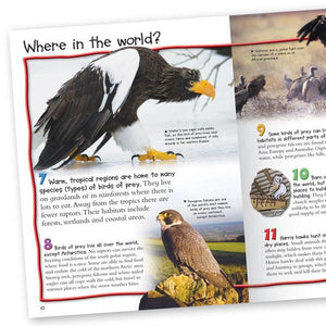 100 Facts Birds of Prey