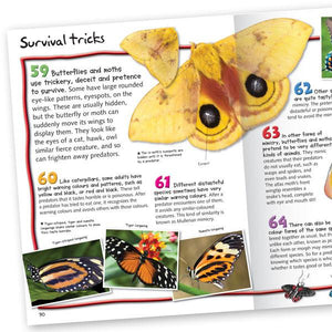 100 Facts Butterflies & Moths