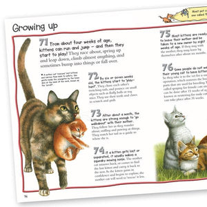 100 Facts Cats & Kittens