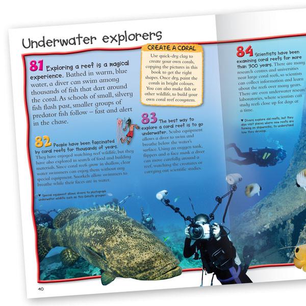 100 Facts Coral Reef