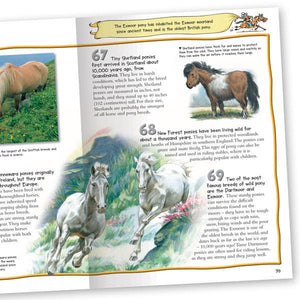 100 Facts Horses and Ponies