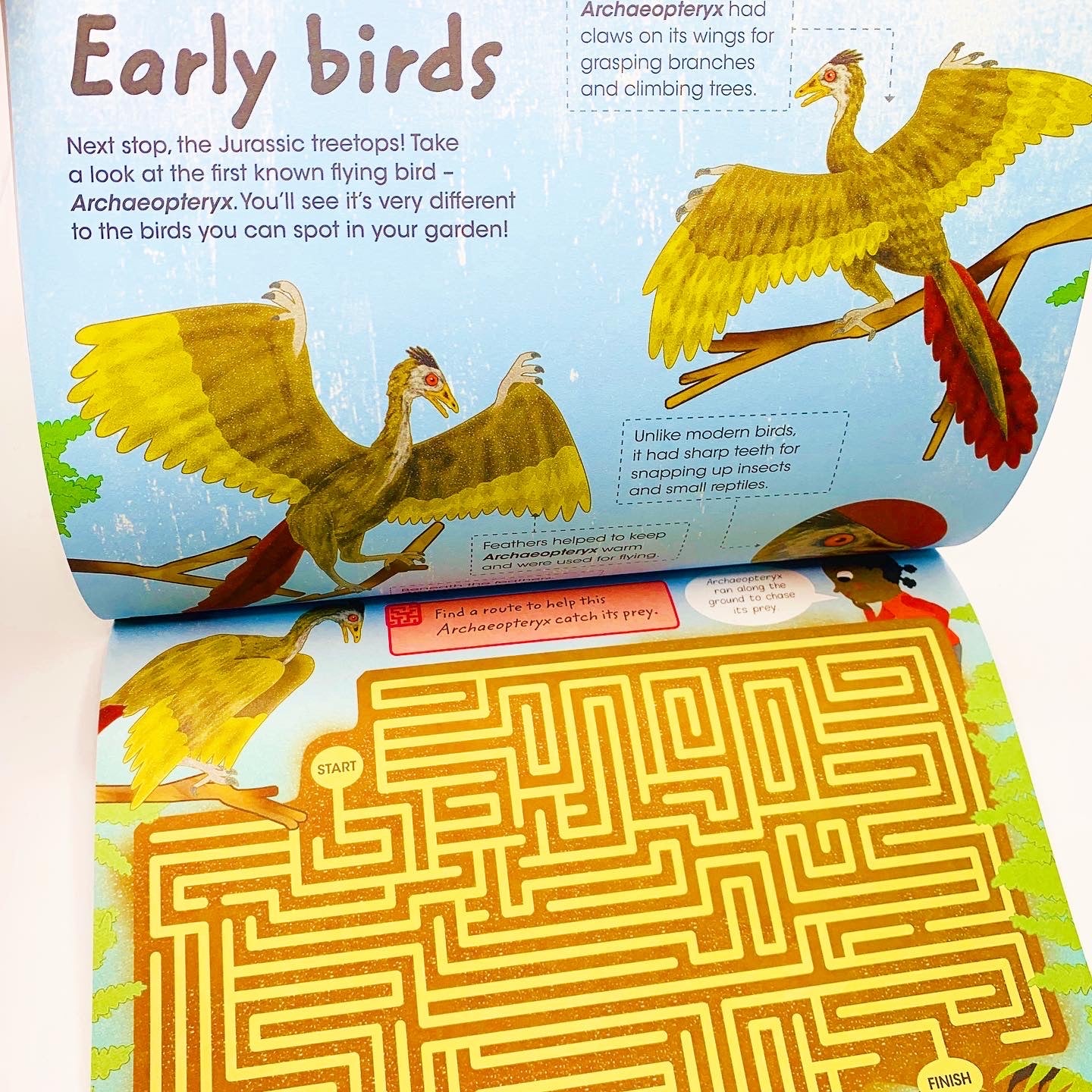 Factivity: Travel Back Through Time to the Land of Dinosaurs