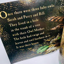 Load image into Gallery viewer, Owl Babies: Book &amp; DVD