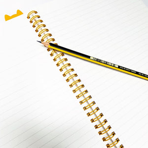 Cool Cats Spiral Notebooks with Ruler