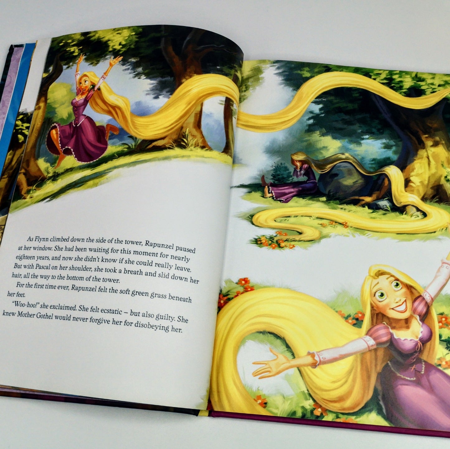 Disney's Tangled