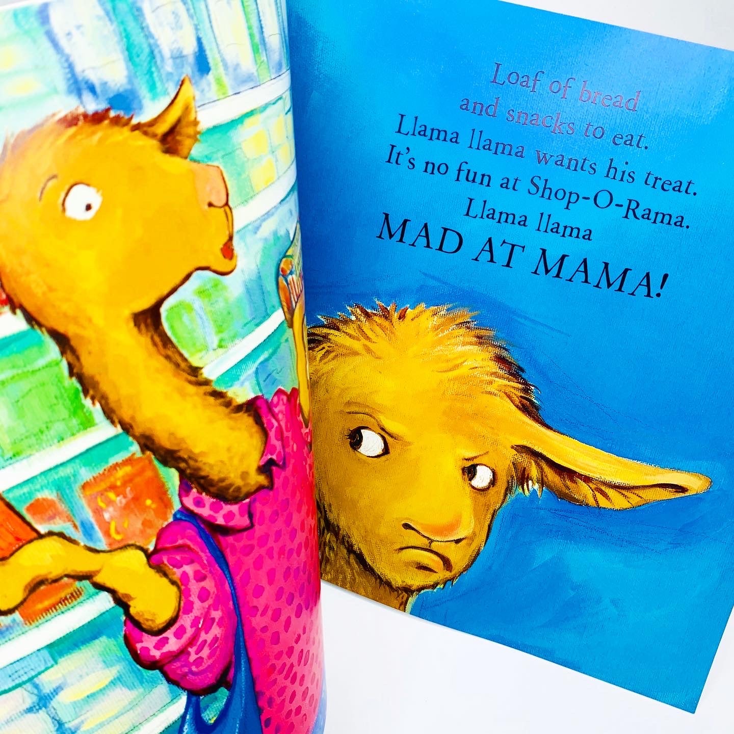 Llama Llama Shopping Drama