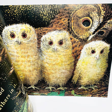 Load image into Gallery viewer, Owl Babies: Book &amp; DVD